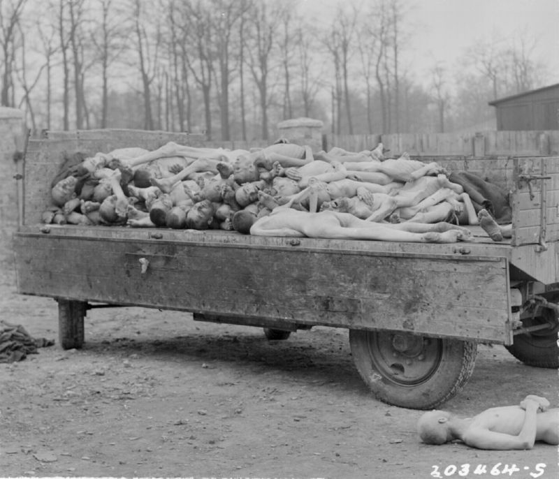 Corpses waiting to be buried